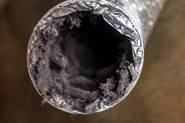 Best Affordable Duct Cleaning Services  in Highgrove, CA